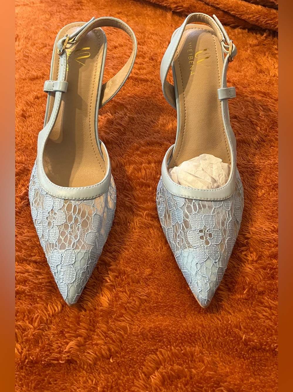 NWOB Weibana Powder Blue Lace Pointed-Toe Slingback Heels